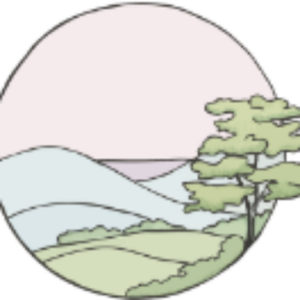 lanouvelle vie